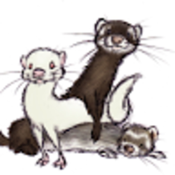 Meet your Posher, Rhi - Picture 1 of 1